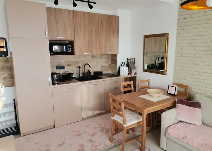 N101, Milmari, Apartament Kopaonik